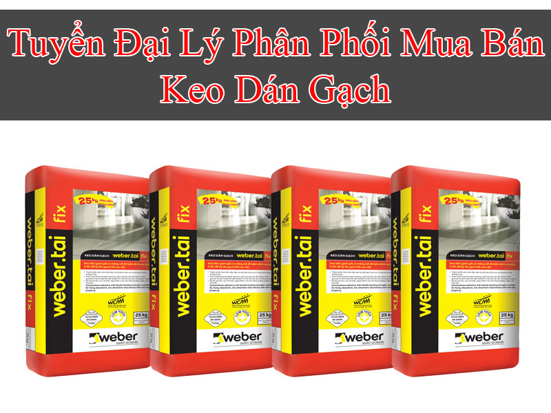 Tuyển Đại Lý Keo Dán Gạch