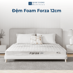 Đệm Foam Itaila Forza 12cm